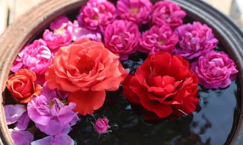 Mezi dvěma ohni: Příběh o ztracené blízkosti s mámou