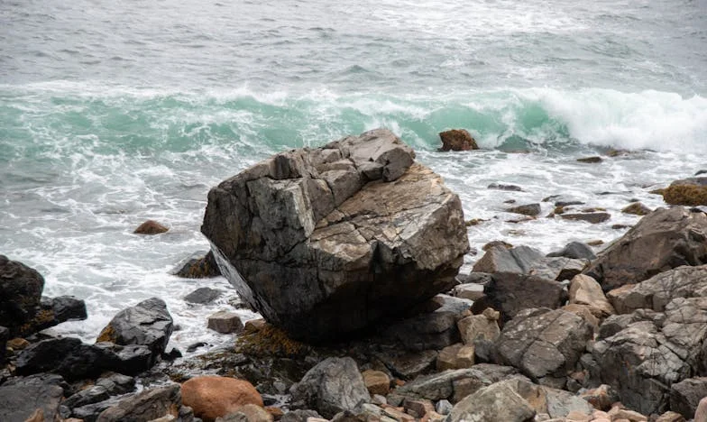 Nemusíš být krásná, stačí být užitečná – příběh o neviditelnosti jedné české ženy