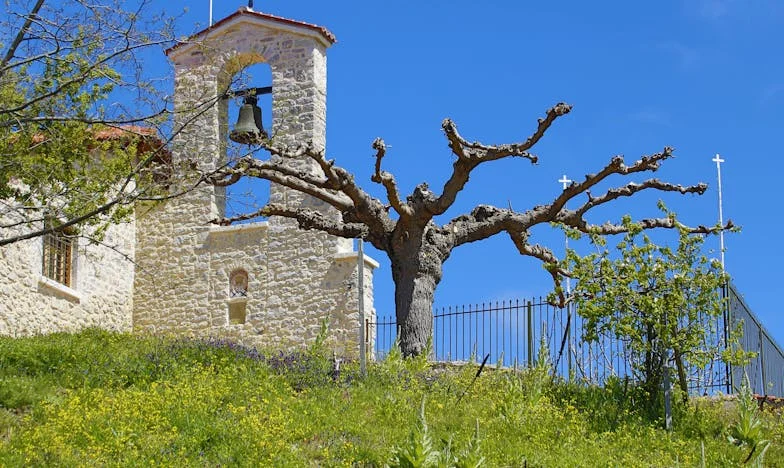 Poslední paprsek: Jak jsme se loučili s naší Klárkou v slzách i naději
