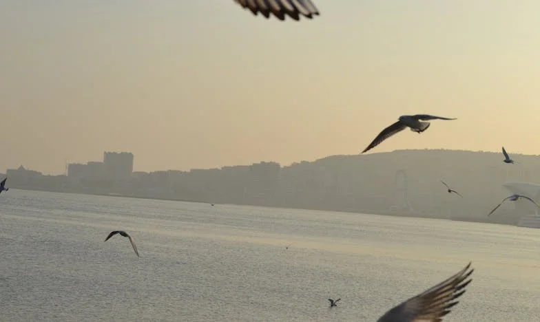 Proč babička už nechodí? Příběh o tichu, které bolí