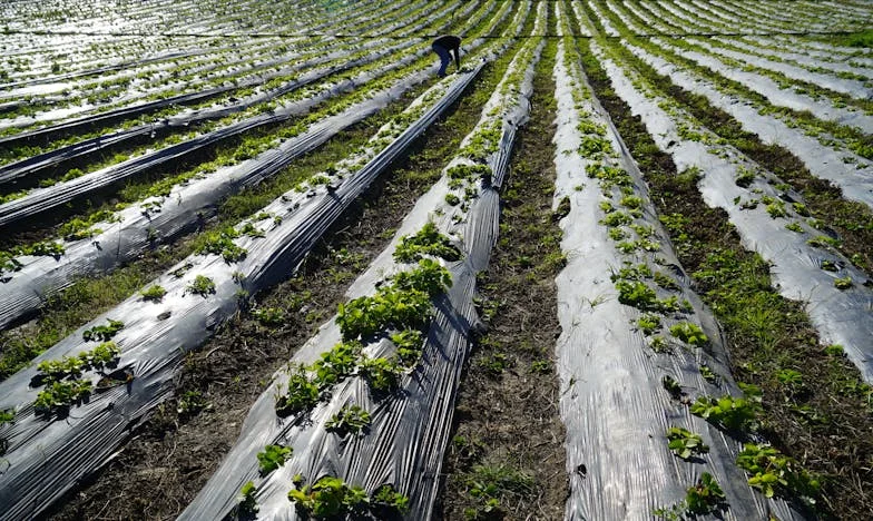 Táta si na mě vzpomněl... až když šlo o dědictví po babičce