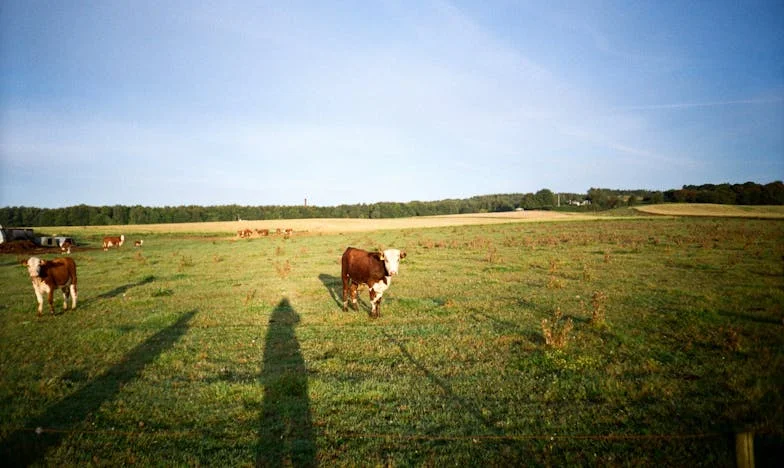 Viděla jsem švagra s jinou ženou a mlčela jsem – teď mě všichni viní z tragédie