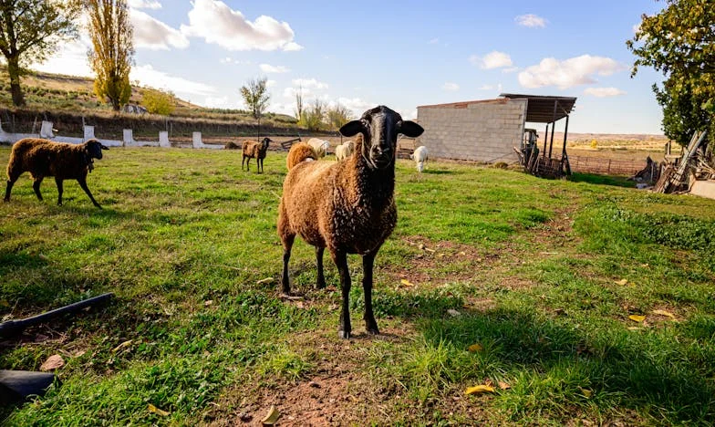 Zapomenutá mezi svými: Příběh Hany z pražského sídliště