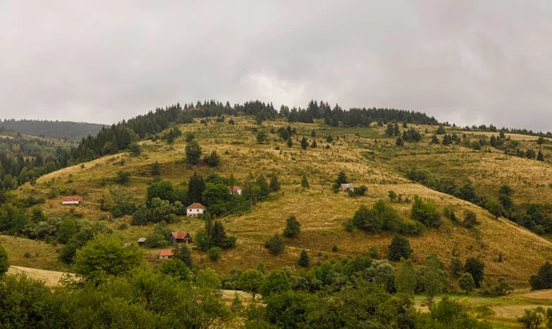 Kiedy dom przestaje być domem: Moja walka o granice z teściową