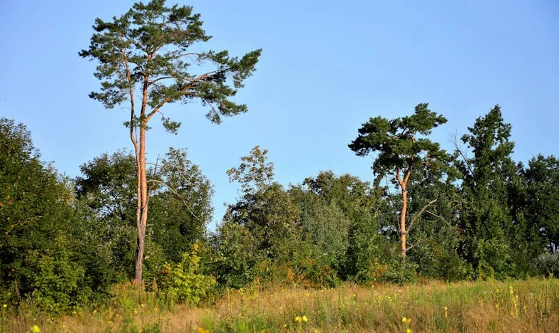 Nie chcę się kłócić, ale kiedy w końcu naprawisz tę półkę?