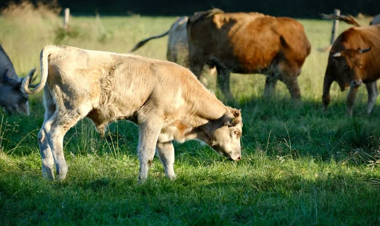 Miłość w cieniu przeszłości – jak była żona mojego męża zatruwa mi życie