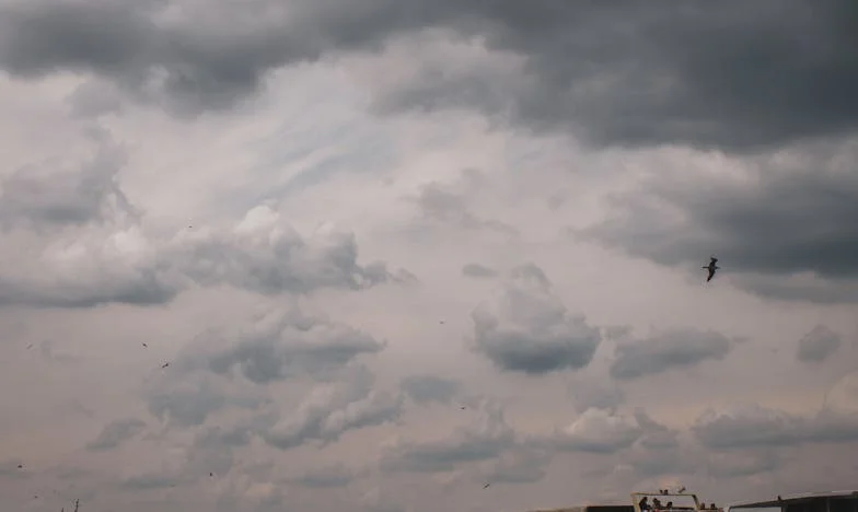 Kiedy syn wraca do domu: Dom, który nas dzieli