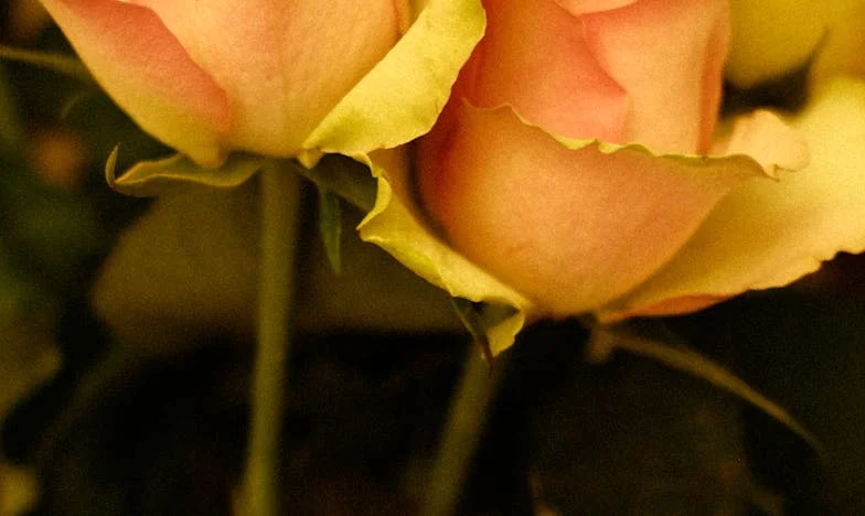 Kiedy tradycja staje się ciężarem: historia mojego urodzinowego buntu w Krakowie