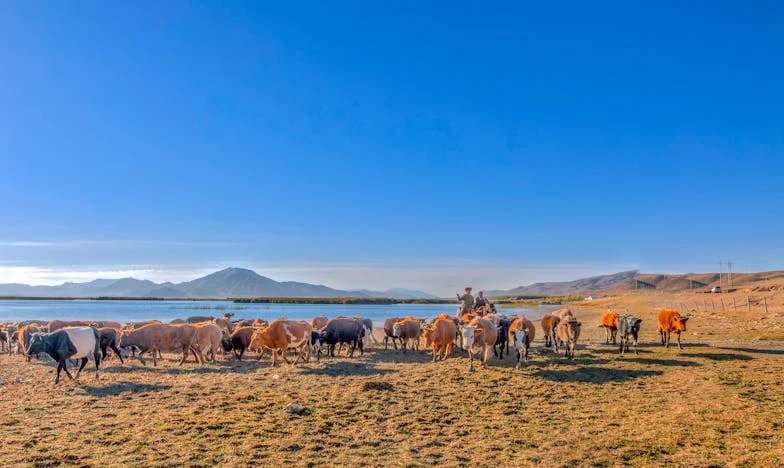 Mama, nie mogę już dłużej: Klucze do naszego domu nie są już twoje