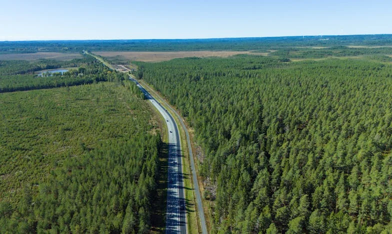Miłość, strach i wybory: Kiedy syn chce odejść z domu