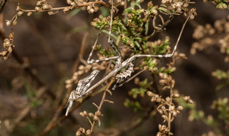 Moja córka poprosiła mnie o opiekę nad wnukiem, gdy trafiła do szpitala: Rodzinne sekrety, które rozdarły moje serce
