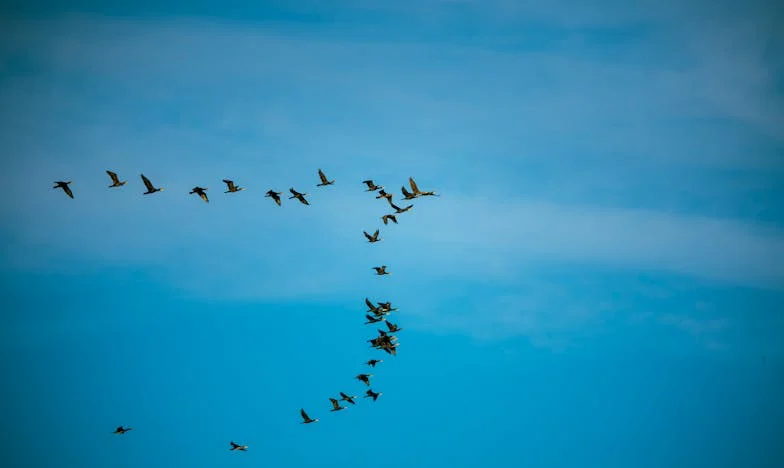 Nie biegnij do ołtarza, Martyna! – Ucieczka panny młodej spod władzy toksycznej rodziny narzeczonego