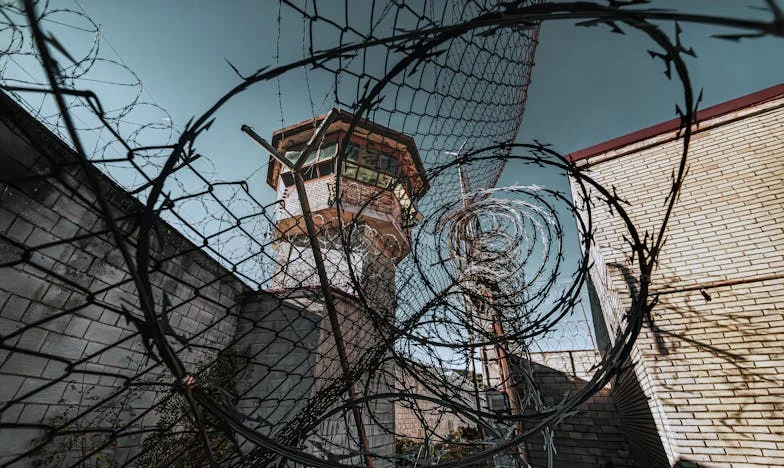 Pozwoliłam synowi i synowej zamieszkać u mnie — a potem wszystko się rozpadło. Moja historia o miłości, rozczarowaniu i samotności.