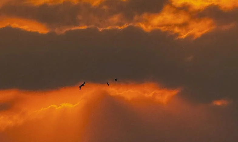 Bivša teściowa na urodzinach mojej córki: Gdzie przebiega granica między przeszłością a przyszłością?