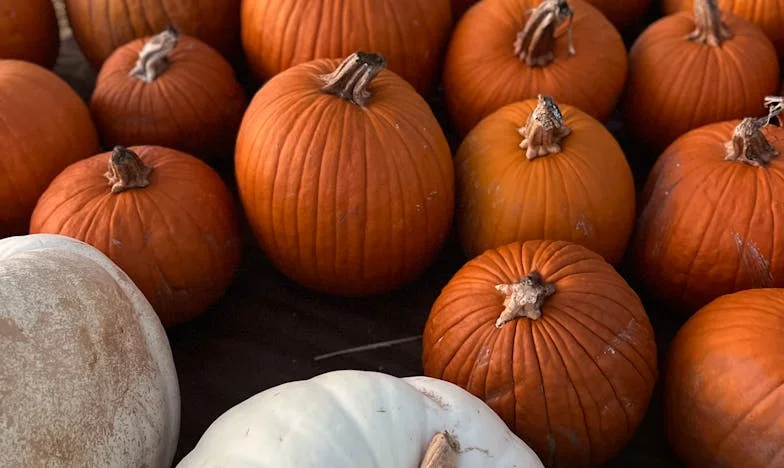 Czy miałam prawo wyrzucić teściową z domu? Moja rodzina rozpadła się przez jeden konflikt