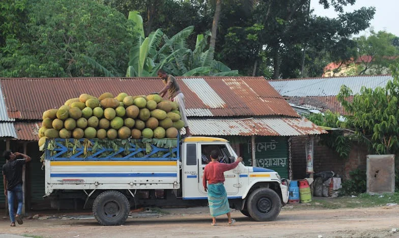 Dziesiąta rano u synowej: ona jeszcze śpi, dzieci bawią się same – Dzień, który na zawsze zmienił moją rodzinę