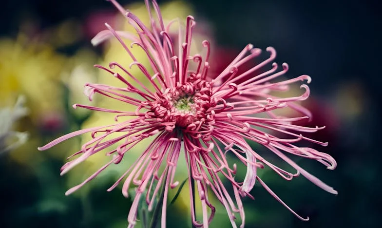 Gdy patrzę w lustro: Ciężar małżeństwa