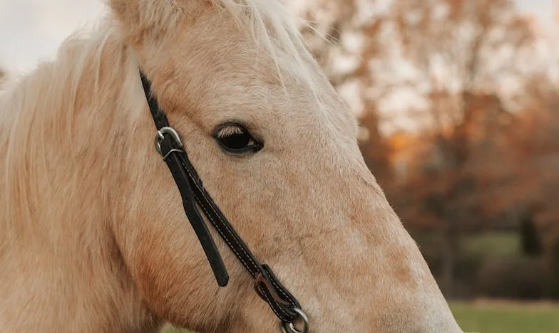 Izba pełna ciszy: Gdy własne dziecko wyrzuca cię z życia – historia matki i córki z warszawskiego blokowiska
