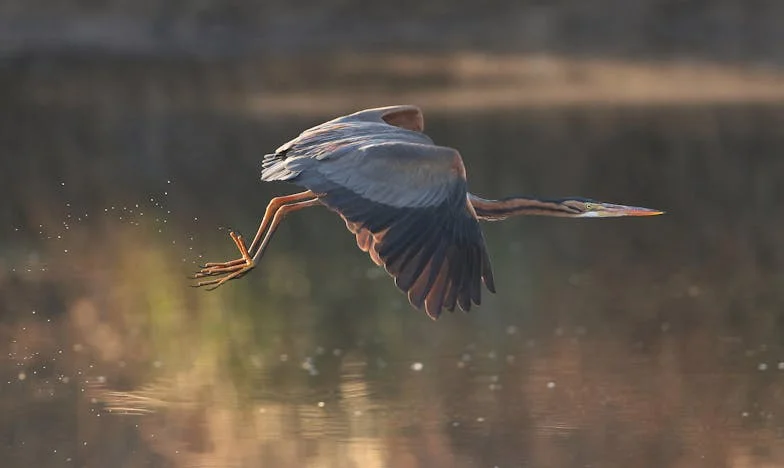 Kiedy brat staje się przeciwnikiem – walka o dom rodzinny i cenę lojalności