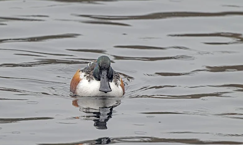 „Kiedy mąż powiedział: 'Płać czynsz!'” – Moja spowiedź o rozpadzie rodziny i walce o godność