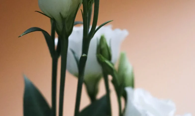 Kiedy telefon od własnej córki boli bardziej niż cisza – Moja historia o miłości, rozczarowaniu i granicach