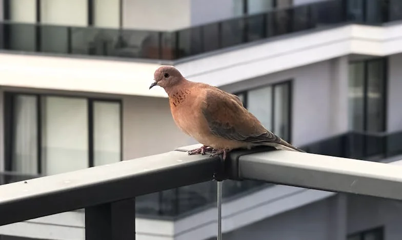 Kiedy własna krew odwraca się od ciebie: Moja historia z bolnicznego łóżka