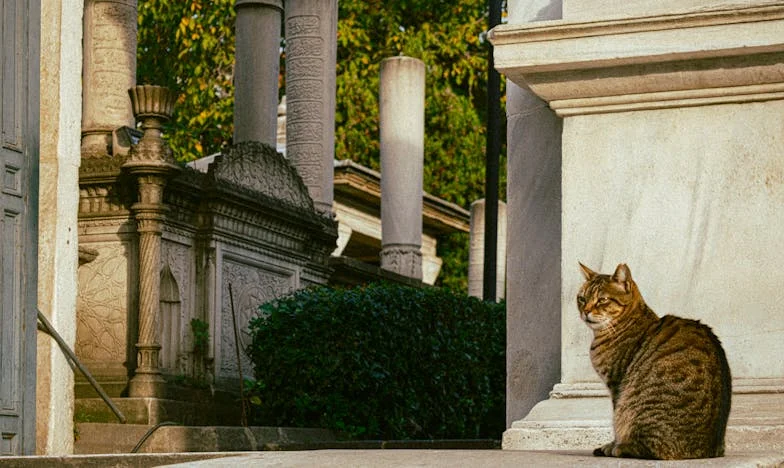 Mama zamieszkała ze mną na takich samych warunkach, jakie sama mi stawiała jako dziecku – historia o odwróconych rolach i przebaczeniu