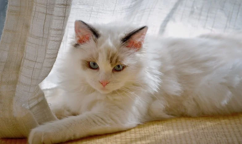 „Mamo, czemu nie pomagasz mi tak jak oni?” – historia o tym, jak pieniądze mogą podzielić rodzinę