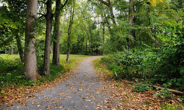 Między młotem a kowadłem: Serce matki rozdarte między synem a synową
