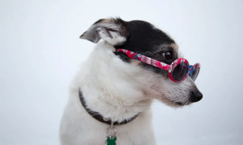 Mój mąż ma dziecko z inną – czy można jeszcze uratować rodzinę?