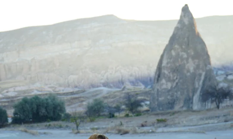 Moja córka, jej włosy i nasza rodzina na krawędzi: Czy można poświęcić dziecko dla idei?