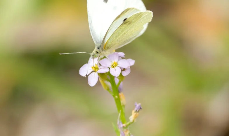Myślałam, że zdradza mnie z młodszą. A on… wrócił do swojej byłej sprzed 25 lat