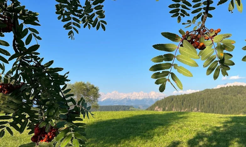 Nie możecie mi nic zrobić. To nie moja wina – szepnąłem, drżąc ze strachu.