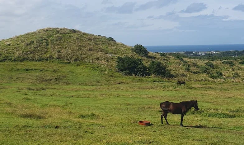 Nie stanęłam na ślubnym kobiercu: Gdy planowaliśmy wesele, mój narzeczony i jego ojciec potajemnie sprzedawali nasz dom