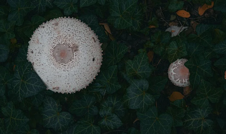 Obcy za moimi drzwiami: Prawda, której rodzina nie chciała usłyszeć