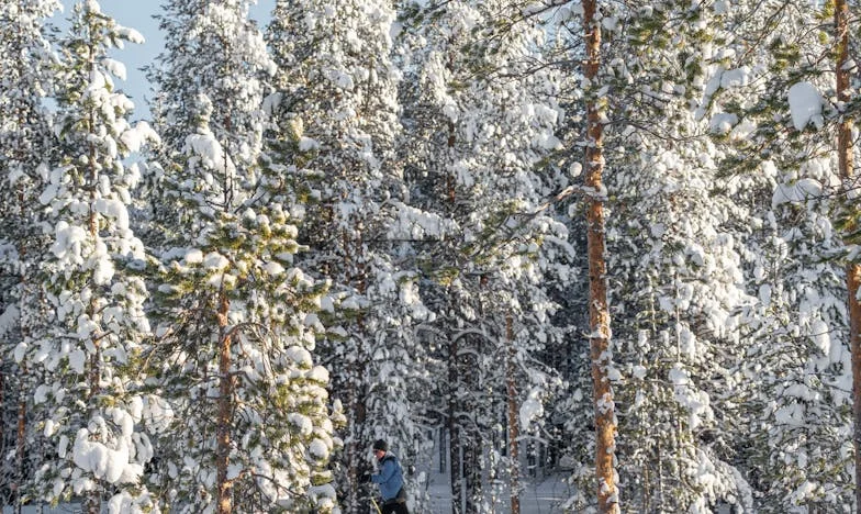 Ojciec odszedł: Kiedy rodzina pęka na pół – Moja historia o rozpadzie, żalu i poszukiwaniu siebie