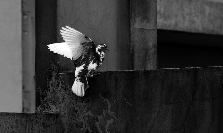 Rozstanie, które uratowało moje życie: Historia Magdy z Ursynowa