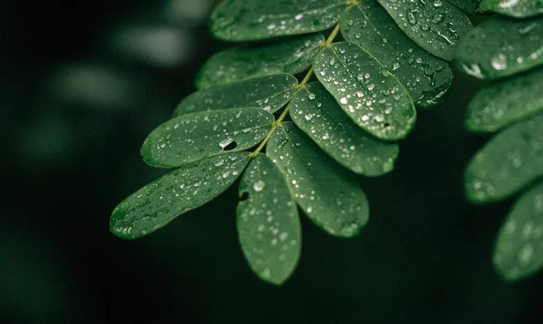 „To moje życie, nie wasze!” – Rodzinny obiad, który wszystko zmienił
