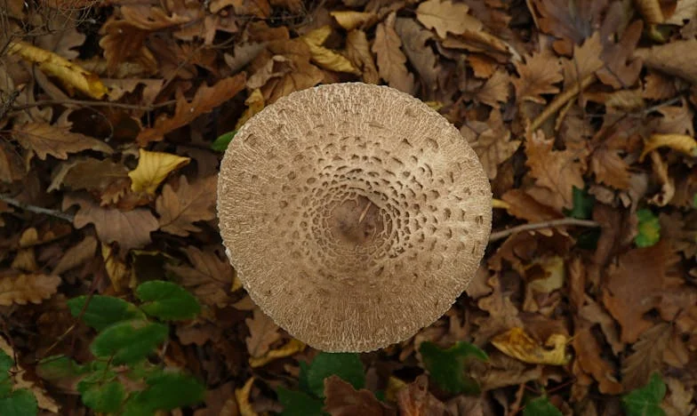 W dniu, w którym urodziłam nasze dziecko, on był z nią w hotelu. Historia zdrady, która rozdarła moją rodzinę.