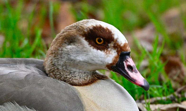 „Wyrzuciłam ją za drzwi i w końcu poczułam wolność!” – Historia Magdy z Poznania