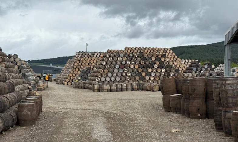 Za mało miejsca na przebaczenie: Historia Karolinki