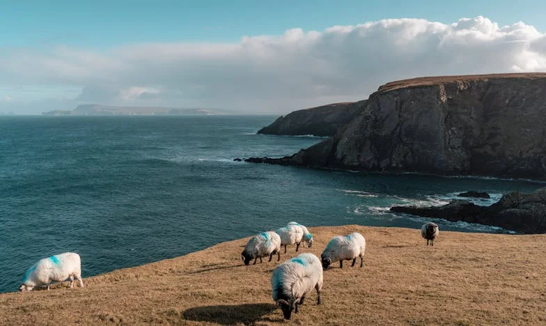 Żadnego domku letniskowego nie będzie! Historia zdrady i przebudzenia w polskiej rodzinie