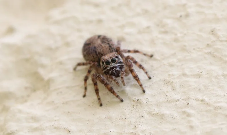 Dzwonek, który zmienił wszystko – historia o samotności, rodzinnych ranach i nadziei na nowy początek