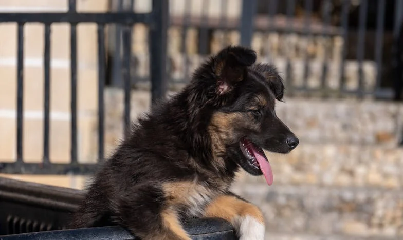 Granice matczynej miłości: Historia z warszawskiego blokowiska