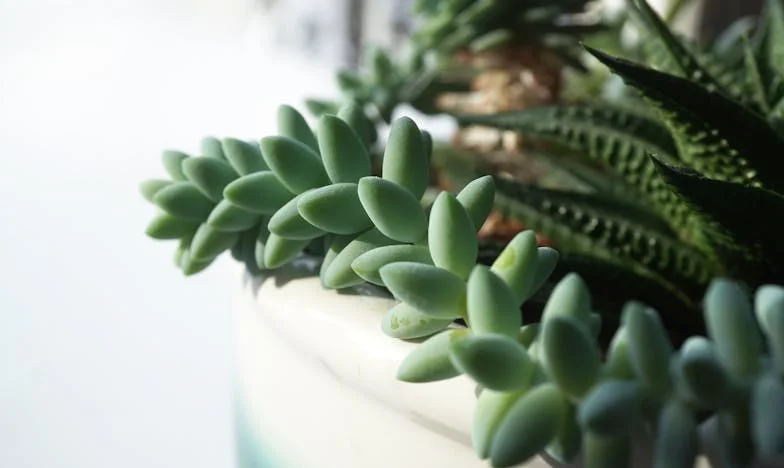 Jak to się stało, że moje dzieci stały się dla mnie obce? Poruszająca opowieść matki z polskiego domu