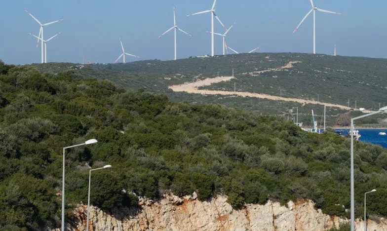 Jedna noc na komisariacie: Jak matczyna troska rozdarła moją rodzinę