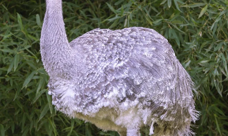 Każdego dnia gotuję dla Piotra. Czy ktoś w końcu mnie usłyszy?