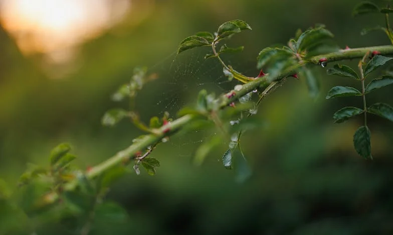 Kiedy miłość ukrywa się w talerzu zupy – historia mojej rodziny na krawędzi rozpadu