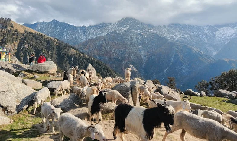 Kiedy nauczyłam się mówić „nie”: Lato nad jeziorem, które zmieniło wszystko
