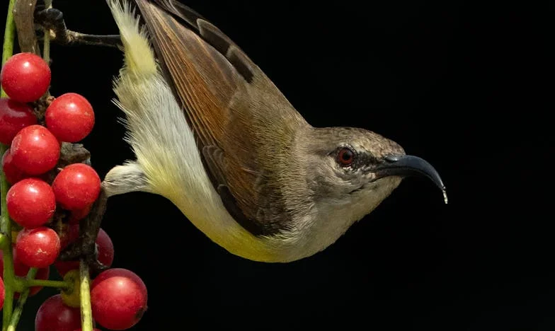 Łzy na asfalcie: Opowieść o utraconym szczęściu. Dzień, w którym mój świat się zatrzymał
